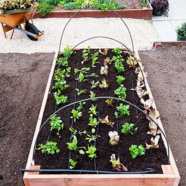 30 отличных фото идей, как огородить грядки на даче