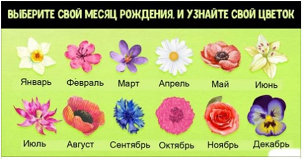 Какой цветок — ваш по праву рождения? И что это говорит о вас?