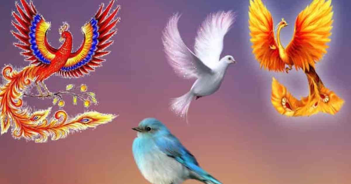 Тест: Выберите птицу счастья - Блеск