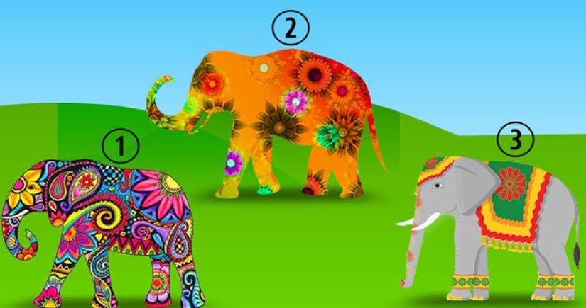 Тест: Выберите слона и узнайте, что вас беспокоит
