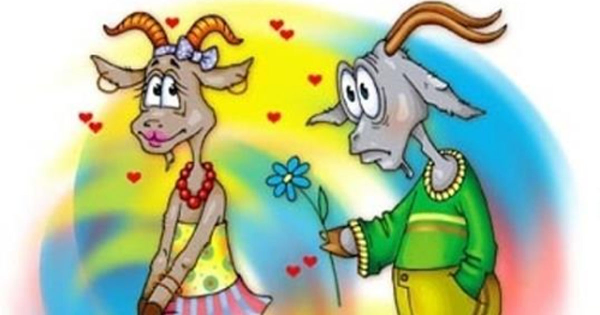 Юмористическая сказка «Коза решила выйти замуж»
