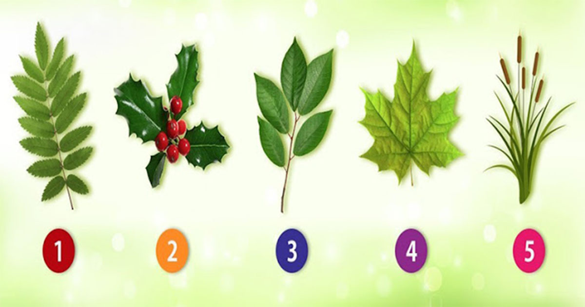 Психологический тест: какие листья вам больше нравятся?