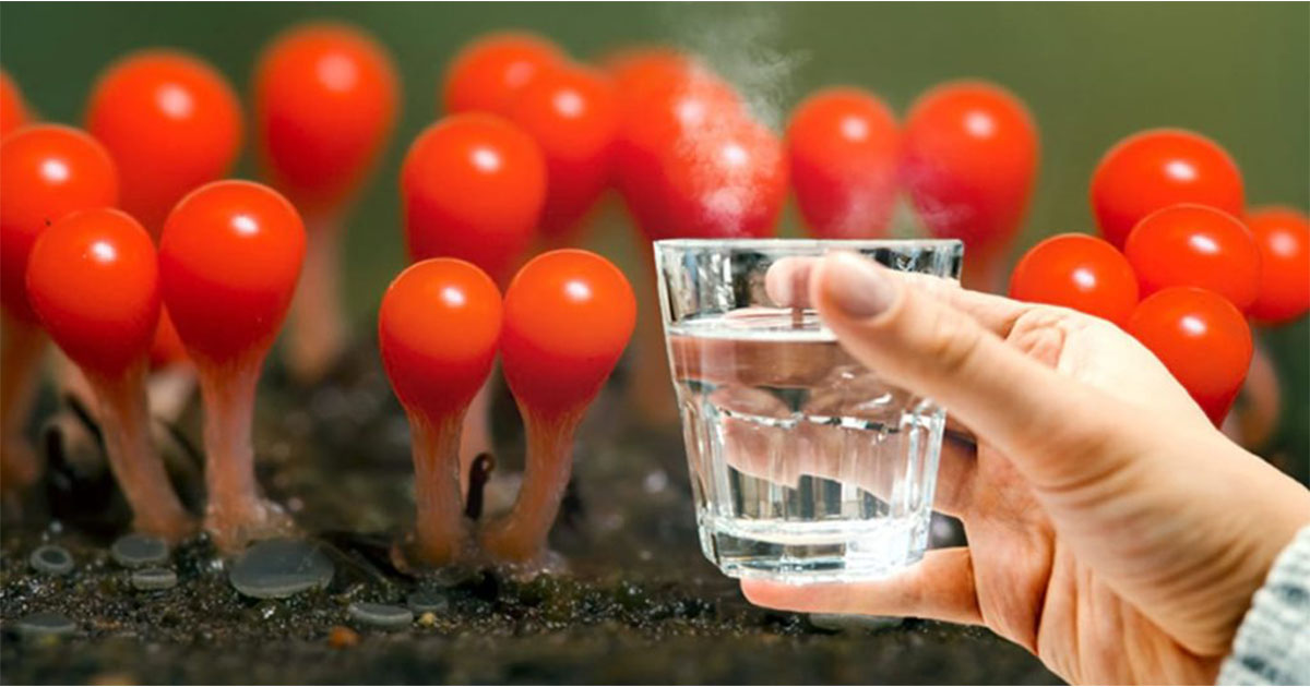 О том, как горячая вода, выпитая натощак утром, помогает здоровью