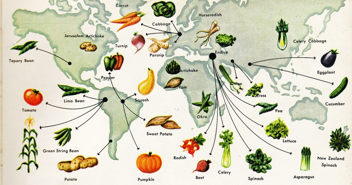 История каждого овоща на вашем столе: откуда они к нам приехали