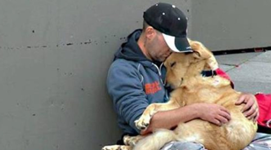 Трогательные фотографии, которые доказывают преданность собак