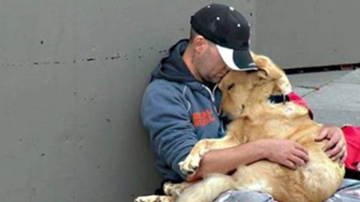 Трогательные фотографии, которые доказывают преданность собак