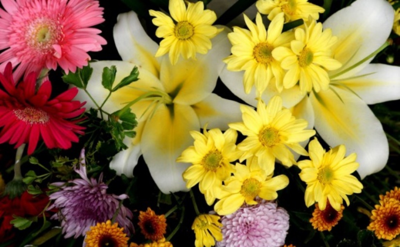Какие цветы дарить представительницам разных знаков зодиака