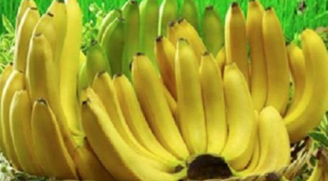 10 фактов о пользе бананов