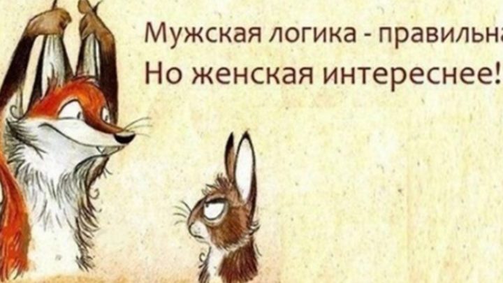 Уморительные фразочки о жизни. Все как есть