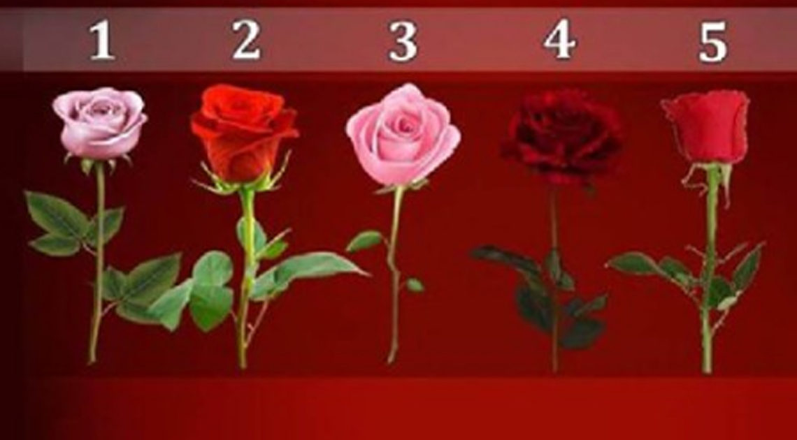 Психологический тест: выбери цветок и узнай кое-что интересное о своих желаниях