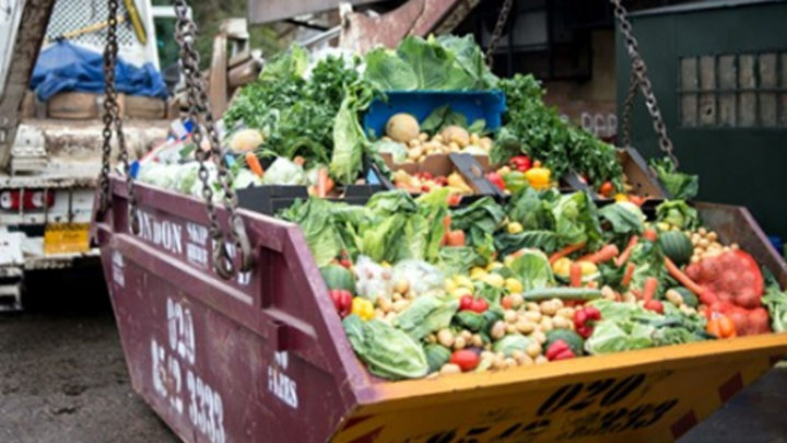 Не проданную еду в Италии возможно будут отдавать даром, а не отправлять в мусорные баки