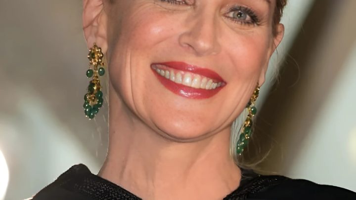 Šestašedesátiletá Sharon Stone na sebe strhává pozornost odvážnými a odhalujícími minišaty: „Žádný stud, žádné svědomí“!