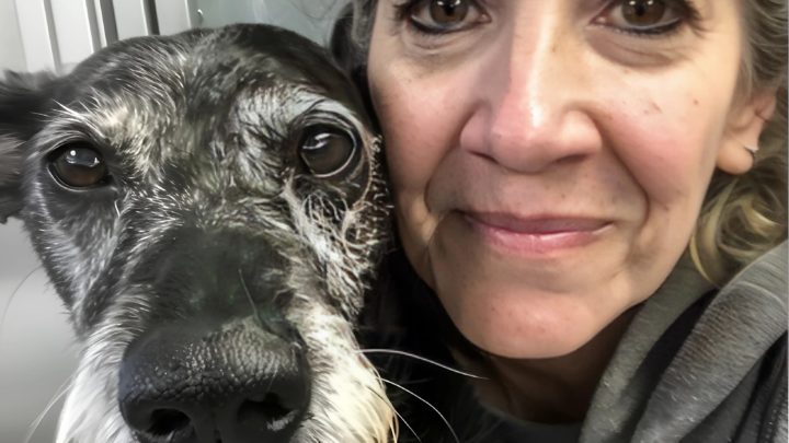 Nejstaršího psa z útulku jsem adoptovala s vědomím, že mu zbývá už jen měsíc – mým cílem bylo udělat ho co nejšťastnějším.
