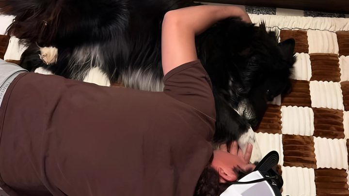MŮJ PES NAJEDNOU ZAČAL KAŽDOU NOC SPÁT VEDLE MĚ A PAK MI ZAVOLAL VETERINÁŘ.