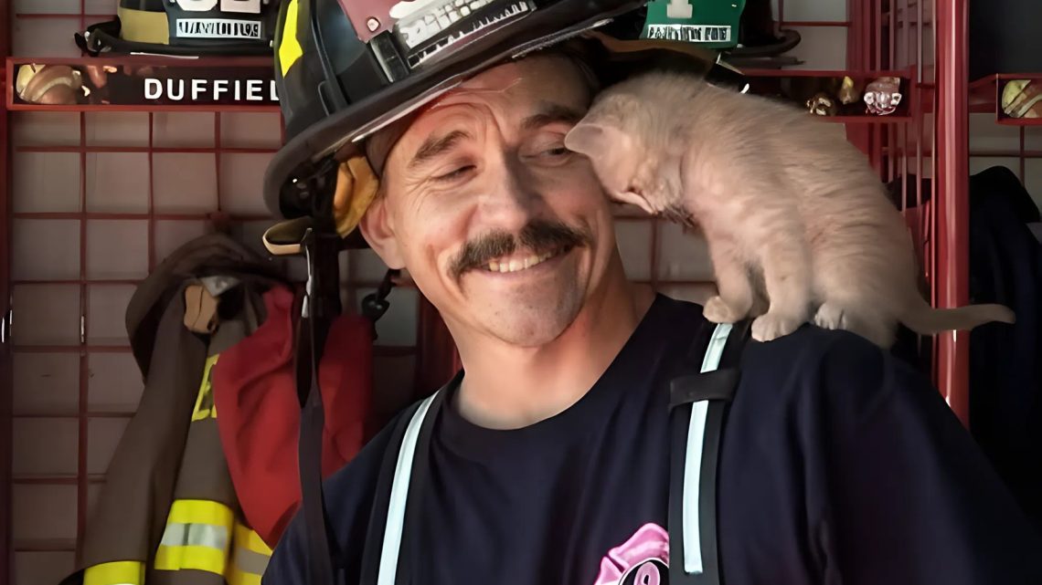 VYTÁHL JI Z HOŘÍCÍ BUDOVY A PAK UŽ SE OD JEHO RAMENE NEHNULA. VYTÁHL JI Z HOŘÍCÍ BUDOVY A PAK UŽ SE OD JEHO RAMENE NEHNULA.