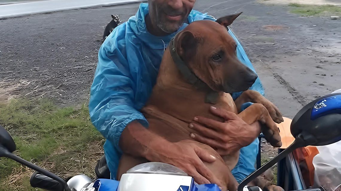 NEPŘESTÁVAL MI LÉZT NA KLÍN, I KDYŽ UŽ SOTVA STÁL. NEPŘESTÁVAL MI LÉZT NA KLÍN, I KDYŽ UŽ SOTVA STÁL.
