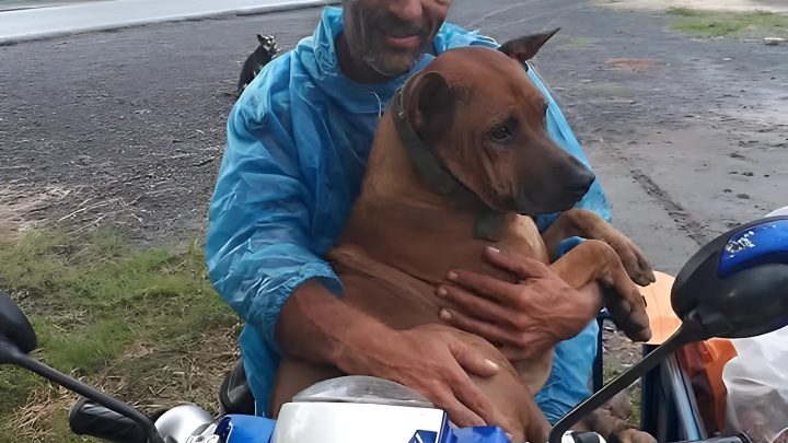 NEPŘESTÁVAL MI LÉZT NA KLÍN, I KDYŽ UŽ SOTVA STÁL.