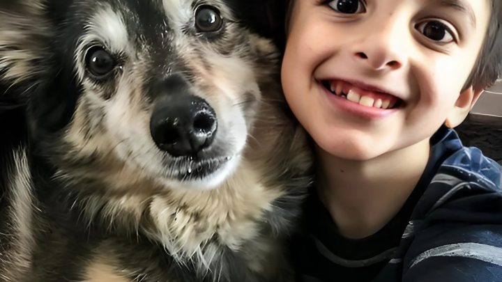 Záchranářský pes se vrátil k nám domů a následující noc zmizel můj osmiletý syn.