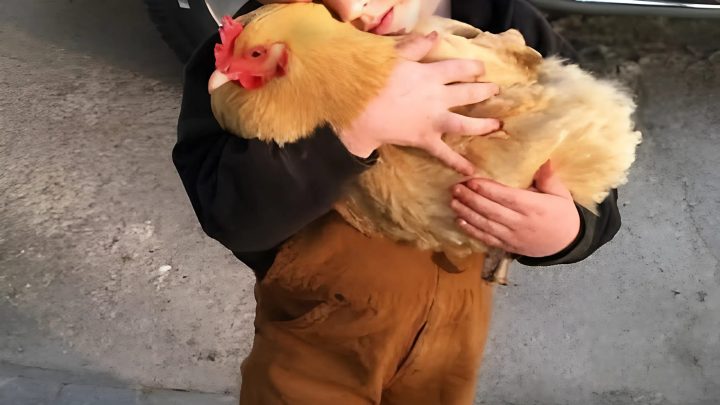 NECHTĚL TO KUŘE PUSTIT A JÁ JSEM NEMĚLA TO SRDCE MU ŘÍCT, PROČ VČERA CHYBĚLO.