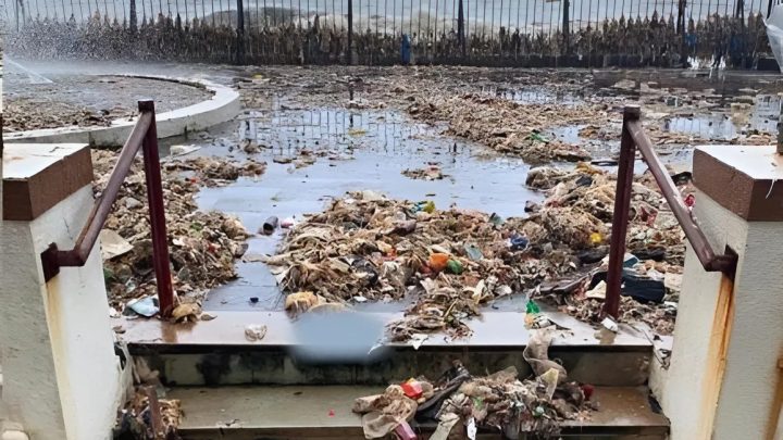 Oceán vrací to, co do něj lidé vyhazují. Úžasné věci!