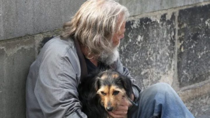 Un bărbat fără adăpost m-a rugat să am grijă de câinele lui, iar o lună mai târziu am primit o scrisoare misterioasă
%
Nu m-aș fi așteptat niciodată ca viața mea să se schimbe într-o zi obișnuită — și cu atât mai puțin din cauza unei cereri venite de la un străin. Când un bărbat fără adăpost m-a rugat să îi iau câinele, am ezitat. Eram copleșită de propriile probleme. Dar o lună mai târziu am primit o scrisoare care m-a făcut să plâng. Ce era scris în ea și cum ne-a legat destinul pentru totdeauna?

{{IMAGE 1}}

Uneori viața te surprinde exact când te aștepți cel mai puțin.

Pentru mine totul a început cu rugămintea simplă a unui om care avea în suflet doar iubire pentru câinele său.

Trecuse un an de la moartea soțului meu, Jason, într-un accident de mașină. Un an de luptă, de eforturi să mă mențin pe linia de plutire, să fiu puternică pentru fiul nostru de 8 ani, Liam.  
Unele zile erau mai grele decât altele, dar fiecare era o luptă.  
Pierderea lui Jason a fost ca prăbușirea lumii mele.  
El nu era doar soțul meu — era partenerul, prietenul și sprijinul meu.

La început am crezut că nu pot merge mai departe. Mă trezeam într-un pat gol, tăcerea înlocuise râsul lui, iar pieptul îmi era strâns de durere. Dar de fiecare dată când simțeam că cedez, mă uitam la Liam. Avea nevoie de mine. Nu aveam voie să cad.

Liam, băiatul meu blând, moștenise inima bună a tatălui său. Observa când sufeream și mă îmbrățișa fără cuvinte.  
„Totul va fi bine, mamă”, spunea cu vocea lui caldă. „Sunt mereu cu tine.”  
Cuvintele lui îmi aduceau lacrimi, dar și putere.

{{IMAGE 2}}

În ziua aceea eram cu el la supermarket. Povestea entuziasmat despre un proiect de la școală, iar eu zâmbeam, deși eram obosită.  
Când încărcam cumpărăturile în portbagaj, am zărit un bărbat la marginea parcării. Era învelit într-o pătură uzată, cu fața roșie de frig. Lângă el stătea o cățelușă mică, zbârlită, tremurând.

„Mamă,” mi-a spus Liam trăgându-mă de mânecă, „câinele îngheață. Putem ajuta?”

M-am uitat la bărbat, apoi la fiul meu. Inima mi s-a strâns. Nu aveam prea mult de oferit — banii abia ne ajungeau. „Dragul meu, nu putem lua asupra noastră o altă grijă acum,” am murmurat, închizând portbagajul.

Dar în clipa în care ne pregăteam să plecăm, bărbatul s-a ridicat și s-a apropiat.  
„Îmi cer scuze, doamnă,” a spus cu o voce răgușită. „Ați putea avea grijă de câinele meu?”

{{IMAGE 3}}

Am încremenit. „Cum spuneți?”  
„O cheamă Daisy,” a rostit, privind în pământ. „Este tot ce am, dar nu mai pot avea grijă de ea. E frig, nu am ce să-i dau să mănânce. Merită o viață mai bună.”  

Privirea lui era plină de rușine și disperare.  
Primul meu impuls a fost să refuz. Cum să iau un câine, când abia mă descurcam eu?  
Dar Liam m-a tras ușor de mână, cu ochii mari și rugători.  
„Te rog, mamă. Are nevoie de ajutorul nostru.”

Am privit cățelușa tremurândă. Toată hotărârea mea s-a topit.  
„Bine,” am spus încet. „O vom lua.”  
Ochii bărbatului s-au umplut de lacrimi. „Mulțumesc. Din suflet.”

Pe drum spre casă, Daisy stătea liniștită lângă Liam pe banchetă.  
Noaptea aceea a fost grea — plângea ușor, neobișnuită cu locul.  
Liam i-a așezat pătura lui preferată, cea cu dinozauri, și a mângâiat-o.  
„Totul va fi bine, Daisy. Ești în siguranță. Te iubim,” i-a șoptit.

{{IMAGE 4}}

Privindu-i, am simțit o căldură neașteptată.  
Pentru prima dată după mult timp, durerea părea mai ușoară.

În săptămânile următoare Daisy a devenit parte din familia noastră.  
Liam o hrănea, o pieptăna, îi citea povești înainte de culcare.  
„Îi place cel mai mult *Noapte bună, lună*,” mi-a spus serios.  
Am râs. „Adevărat?”  
„A dat din coadă când citeam,” a insistat el.

{{IMAGE 5}}

Daisy a adus în casa noastră bucuria pe care nu știam că o pierdusem.  
Liam râdea iar, iar eu simțeam din nou sensul vieții. Nu doar ea avea nevoie de noi — și noi aveam nevoie de ea.

Apoi, la o lună după aceea, s-a întâmplat ceva neașteptat.

Era o seară rece. Liam construia un mic adăpost din perne, iar Daisy dormea lângă el. În timp ce sortam corespondența, am observat un plic simplu, fără timbru sau adresă. Pe el scria tremurat: „De la vechiul tău prieten.”

L-am deschis. Înăuntru era o hârtie împăturită.

„Dragă Daisy,  
Sper că îți este cald și bine. Mi-e dor de tine, dar știu că ești pe mâini bune…”

Am citit scrisoarea până la capăt, iar lacrimile mi-au acoperit privirea.  
Bărbatul fără adăpost murise într-un adăpost de iarnă. În buzunarul lui fusese găsită o notiță cu adresa noastră și rugămintea: „Trimiteți asta femeii care are grijă de Daisy.”

Am strâns cățelușa în brațe. Ea și-a ridicat capul, privindu-mă cu ochii calzi.  
În tăcerea aceea am simțit că totul are un sens.  
Un om care nu mai avea nimic ne dăduse cel mai mare dar — iubirea care ne-a vindecat.

%

—