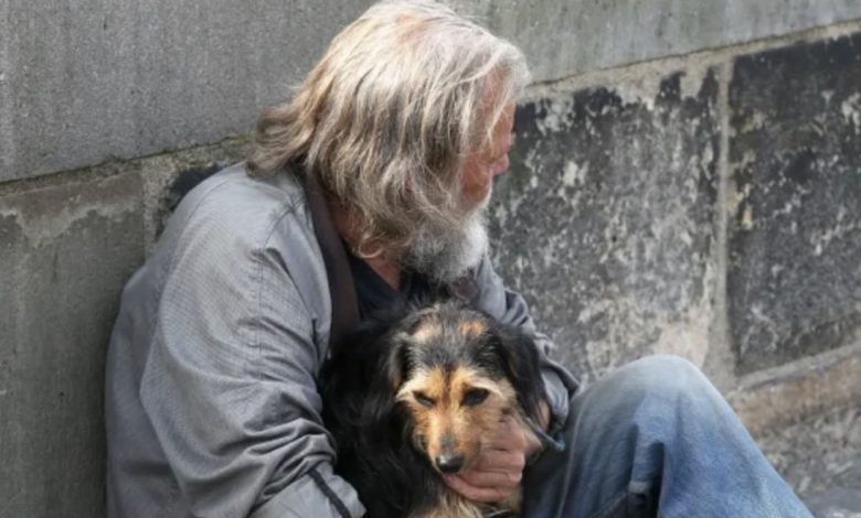 Un bărbat fără adăpost m-a rugat să am grijă de câinele lui, iar o lună mai târziu am primit o scrisoare misterioasă
%
Nu m-aș fi așteptat niciodată ca viața mea să se schimbe într-o zi obișnuită — și cu atât mai puțin din cauza unei cereri venite de la un străin. Când un bărbat fără adăpost m-a rugat să îi iau câinele, am ezitat. Eram copleșită de propriile probleme. Dar o lună mai târziu am primit o scrisoare care m-a făcut să plâng. Ce era scris în ea și cum ne-a legat destinul pentru totdeauna?
{{IMAGE 1}}
Uneori viața te surprinde exact când te aștepți cel mai puțin.
Pentru mine totul a început cu rugămintea simplă a unui om care avea în suflet doar iubire pentru câinele său.
Trecuse un an de la moartea soțului meu, Jason, într-un accident de mașină. Un an de luptă, de eforturi să mă mențin pe linia de plutire, să fiu puternică pentru fiul nostru de 8 ani, Liam.
Unele zile erau mai grele decât altele, dar fiecare era o luptă.
Pierderea lui Jason a fost ca prăbușirea lumii mele.
El nu era doar soțul meu — era partenerul, prietenul și sprijinul meu.
La început am crezut că nu pot merge mai departe. Mă trezeam într-un pat gol, tăcerea înlocuise râsul lui, iar pieptul îmi era strâns de durere. Dar de fiecare dată când simțeam că cedez, mă uitam la Liam. Avea nevoie de mine. Nu aveam voie să cad.
Liam, băiatul meu blând, moștenise inima bună a tatălui său. Observa când sufeream și mă îmbrățișa fără cuvinte.
„Totul va fi bine, mamă”, spunea cu vocea lui caldă. „Sunt mereu cu tine.”
Cuvintele lui îmi aduceau lacrimi, dar și putere.
{{IMAGE 2}}
În ziua aceea eram cu el la supermarket. Povestea entuziasmat despre un proiect de la școală, iar eu zâmbeam, deși eram obosită.
Când încărcam cumpărăturile în portbagaj, am zărit un bărbat la marginea parcării. Era învelit într-o pătură uzată, cu fața roșie de frig. Lângă el stătea o cățelușă mică, zbârlită, tremurând.
„Mamă,” mi-a spus Liam trăgându-mă de mânecă, „câinele îngheață. Putem ajuta?”
M-am uitat la bărbat, apoi la fiul meu. Inima mi s-a strâns. Nu aveam prea mult de oferit — banii abia ne ajungeau. „Dragul meu, nu putem lua asupra noastră o altă grijă acum,” am murmurat, închizând portbagajul.
Dar în clipa în care ne pregăteam să plecăm, bărbatul s-a ridicat și s-a apropiat.
„Îmi cer scuze, doamnă,” a spus cu o voce răgușită. „Ați putea avea grijă de câinele meu?”
{{IMAGE 3}}
Am încremenit. „Cum spuneți?”
„O cheamă Daisy,” a rostit, privind în pământ. „Este tot ce am, dar nu mai pot avea grijă de ea. E frig, nu am ce să-i dau să mănânce. Merită o viață mai bună.”
Privirea lui era plină de rușine și disperare.
Primul meu impuls a fost să refuz. Cum să iau un câine, când abia mă descurcam eu?
Dar Liam m-a tras ușor de mână, cu ochii mari și rugători.
„Te rog, mamă. Are nevoie de ajutorul nostru.”
Am privit cățelușa tremurândă. Toată hotărârea mea s-a topit.
„Bine,” am spus încet. „O vom lua.”
Ochii bărbatului s-au umplut de lacrimi. „Mulțumesc. Din suflet.”
Pe drum spre casă, Daisy stătea liniștită lângă Liam pe banchetă.
Noaptea aceea a fost grea — plângea ușor, neobișnuită cu locul.
Liam i-a așezat pătura lui preferată, cea cu dinozauri, și a mângâiat-o.
„Totul va fi bine, Daisy. Ești în siguranță. Te iubim,” i-a șoptit.
{{IMAGE 4}}
Privindu-i, am simțit o căldură neașteptată.
Pentru prima dată după mult timp, durerea părea mai ușoară.
În săptămânile următoare Daisy a devenit parte din familia noastră.
Liam o hrănea, o pieptăna, îi citea povești înainte de culcare.
„Îi place cel mai mult *Noapte bună, lună*,” mi-a spus serios.
Am râs. „Adevărat?”
„A dat din coadă când citeam,” a insistat el.
{{IMAGE 5}}
Daisy a adus în casa noastră bucuria pe care nu știam că o pierdusem.
Liam râdea iar, iar eu simțeam din nou sensul vieții. Nu doar ea avea nevoie de noi — și noi aveam nevoie de ea.
Apoi, la o lună după aceea, s-a întâmplat ceva neașteptat.
Era o seară rece. Liam construia un mic adăpost din perne, iar Daisy dormea lângă el. În timp ce sortam corespondența, am observat un plic simplu, fără timbru sau adresă. Pe el scria tremurat: „De la vechiul tău prieten.”
L-am deschis. Înăuntru era o hârtie împăturită.
„Dragă Daisy,
Sper că îți este cald și bine. Mi-e dor de tine, dar știu că ești pe mâini bune…”
Am citit scrisoarea până la capăt, iar lacrimile mi-au acoperit privirea.
Bărbatul fără adăpost murise într-un adăpost de iarnă. În buzunarul lui fusese găsită o notiță cu adresa noastră și rugămintea: „Trimiteți asta femeii care are grijă de Daisy.”
Am strâns cățelușa în brațe. Ea și-a ridicat capul, privindu-mă cu ochii calzi.
În tăcerea aceea am simțit că totul are un sens.
Un om care nu mai avea nimic ne dăduse cel mai mare dar — iubirea care ne-a vindecat.
%
— Un bărbat fără adăpost m-a rugat să am grijă de câinele lui, iar o lună mai târziu am primit o scrisoare misterioasă
%
Nu m-aș fi așteptat niciodată ca viața mea să se schimbe într-o zi obișnuită — și cu atât mai puțin din cauza unei cereri venite de la un străin. Când un bărbat fără adăpost m-a rugat să îi iau câinele, am ezitat. Eram copleșită de propriile probleme. Dar o lună mai târziu am primit o scrisoare care m-a făcut să plâng. Ce era scris în ea și cum ne-a legat destinul pentru totdeauna?
{{IMAGE 1}}
Uneori viața te surprinde exact când te aștepți cel mai puțin.
Pentru mine totul a început cu rugămintea simplă a unui om care avea în suflet doar iubire pentru câinele său.
Trecuse un an de la moartea soțului meu, Jason, într-un accident de mașină. Un an de luptă, de eforturi să mă mențin pe linia de plutire, să fiu puternică pentru fiul nostru de 8 ani, Liam.
Unele zile erau mai grele decât altele, dar fiecare era o luptă.
Pierderea lui Jason a fost ca prăbușirea lumii mele.
El nu era doar soțul meu — era partenerul, prietenul și sprijinul meu.
La început am crezut că nu pot merge mai departe. Mă trezeam într-un pat gol, tăcerea înlocuise râsul lui, iar pieptul îmi era strâns de durere. Dar de fiecare dată când simțeam că cedez, mă uitam la Liam. Avea nevoie de mine. Nu aveam voie să cad.
Liam, băiatul meu blând, moștenise inima bună a tatălui său. Observa când sufeream și mă îmbrățișa fără cuvinte.
„Totul va fi bine, mamă”, spunea cu vocea lui caldă. „Sunt mereu cu tine.”
Cuvintele lui îmi aduceau lacrimi, dar și putere.
{{IMAGE 2}}
În ziua aceea eram cu el la supermarket. Povestea entuziasmat despre un proiect de la școală, iar eu zâmbeam, deși eram obosită.
Când încărcam cumpărăturile în portbagaj, am zărit un bărbat la marginea parcării. Era învelit într-o pătură uzată, cu fața roșie de frig. Lângă el stătea o cățelușă mică, zbârlită, tremurând.
„Mamă,” mi-a spus Liam trăgându-mă de mânecă, „câinele îngheață. Putem ajuta?”
M-am uitat la bărbat, apoi la fiul meu. Inima mi s-a strâns. Nu aveam prea mult de oferit — banii abia ne ajungeau. „Dragul meu, nu putem lua asupra noastră o altă grijă acum,” am murmurat, închizând portbagajul.
Dar în clipa în care ne pregăteam să plecăm, bărbatul s-a ridicat și s-a apropiat.
„Îmi cer scuze, doamnă,” a spus cu o voce răgușită. „Ați putea avea grijă de câinele meu?”
{{IMAGE 3}}
Am încremenit. „Cum spuneți?”
„O cheamă Daisy,” a rostit, privind în pământ. „Este tot ce am, dar nu mai pot avea grijă de ea. E frig, nu am ce să-i dau să mănânce. Merită o viață mai bună.”
Privirea lui era plină de rușine și disperare.
Primul meu impuls a fost să refuz. Cum să iau un câine, când abia mă descurcam eu?
Dar Liam m-a tras ușor de mână, cu ochii mari și rugători.
„Te rog, mamă. Are nevoie de ajutorul nostru.”
Am privit cățelușa tremurândă. Toată hotărârea mea s-a topit.
„Bine,” am spus încet. „O vom lua.”
Ochii bărbatului s-au umplut de lacrimi. „Mulțumesc. Din suflet.”
Pe drum spre casă, Daisy stătea liniștită lângă Liam pe banchetă.
Noaptea aceea a fost grea — plângea ușor, neobișnuită cu locul.
Liam i-a așezat pătura lui preferată, cea cu dinozauri, și a mângâiat-o.
„Totul va fi bine, Daisy. Ești în siguranță. Te iubim,” i-a șoptit.
{{IMAGE 4}}
Privindu-i, am simțit o căldură neașteptată.
Pentru prima dată după mult timp, durerea părea mai ușoară.
În săptămânile următoare Daisy a devenit parte din familia noastră.
Liam o hrănea, o pieptăna, îi citea povești înainte de culcare.
„Îi place cel mai mult *Noapte bună, lună*,” mi-a spus serios.
Am râs. „Adevărat?”
„A dat din coadă când citeam,” a insistat el.
{{IMAGE 5}}
Daisy a adus în casa noastră bucuria pe care nu știam că o pierdusem.
Liam râdea iar, iar eu simțeam din nou sensul vieții. Nu doar ea avea nevoie de noi — și noi aveam nevoie de ea.
Apoi, la o lună după aceea, s-a întâmplat ceva neașteptat.
Era o seară rece. Liam construia un mic adăpost din perne, iar Daisy dormea lângă el. În timp ce sortam corespondența, am observat un plic simplu, fără timbru sau adresă. Pe el scria tremurat: „De la vechiul tău prieten.”
L-am deschis. Înăuntru era o hârtie împăturită.
„Dragă Daisy,
Sper că îți este cald și bine. Mi-e dor de tine, dar știu că ești pe mâini bune…”
Am citit scrisoarea până la capăt, iar lacrimile mi-au acoperit privirea.
Bărbatul fără adăpost murise într-un adăpost de iarnă. În buzunarul lui fusese găsită o notiță cu adresa noastră și rugămintea: „Trimiteți asta femeii care are grijă de Daisy.”
Am strâns cățelușa în brațe. Ea și-a ridicat capul, privindu-mă cu ochii calzi.
În tăcerea aceea am simțit că totul are un sens.
Un om care nu mai avea nimic ne dăduse cel mai mare dar — iubirea care ne-a vindecat.
%
—