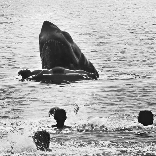 Vymazaná scéna z filmu Čelisti: Útok žraloka, který jste nikdy neviděli