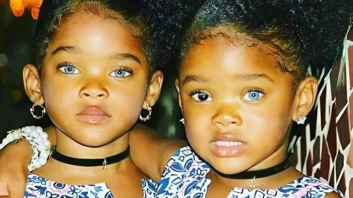 Seznamte se s „Trueblue Twins“, které mají nyní obrovskou základnu fanoušků.