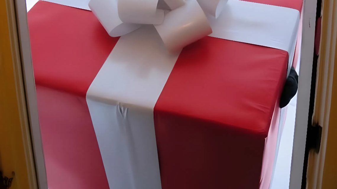 Dva dny před Vánocemi jsem u sebe doma ubytovala matku s dítětem – a na Štědrý den ráno přišel balíček s mým jménem.