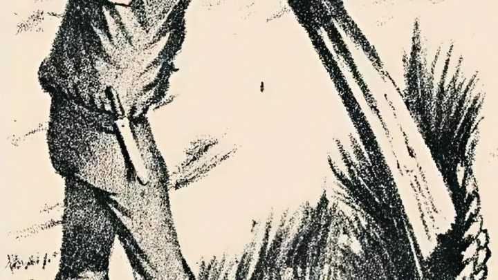 Optický klam: Najděte skrytého manžela námořníka