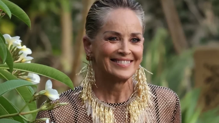Žena bez věku! 66letá Sharon Stone způsobila senzaci v průsvitných šatech.