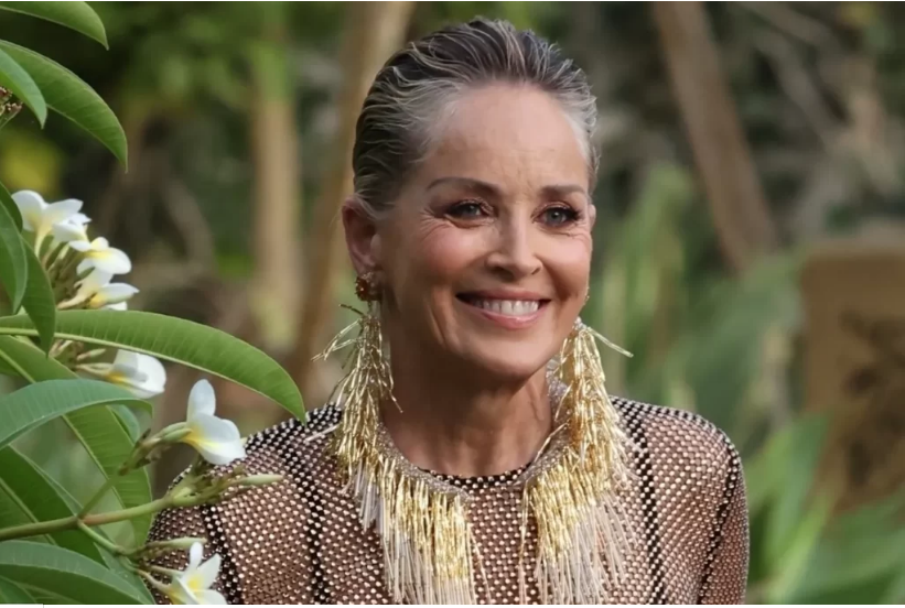 Žena bez věku! 66letá Sharon Stone způsobila senzaci v průsvitných šatech.