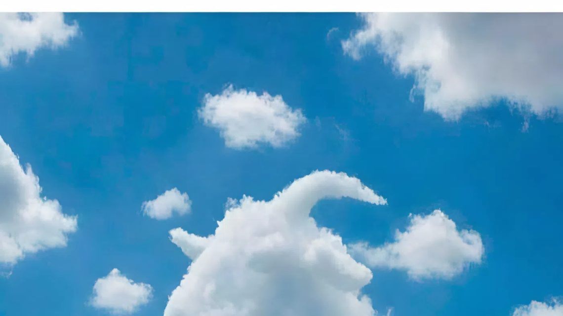 To, co uvidíte jako první, o vás hodně prozradí: želva nebo velbloud?