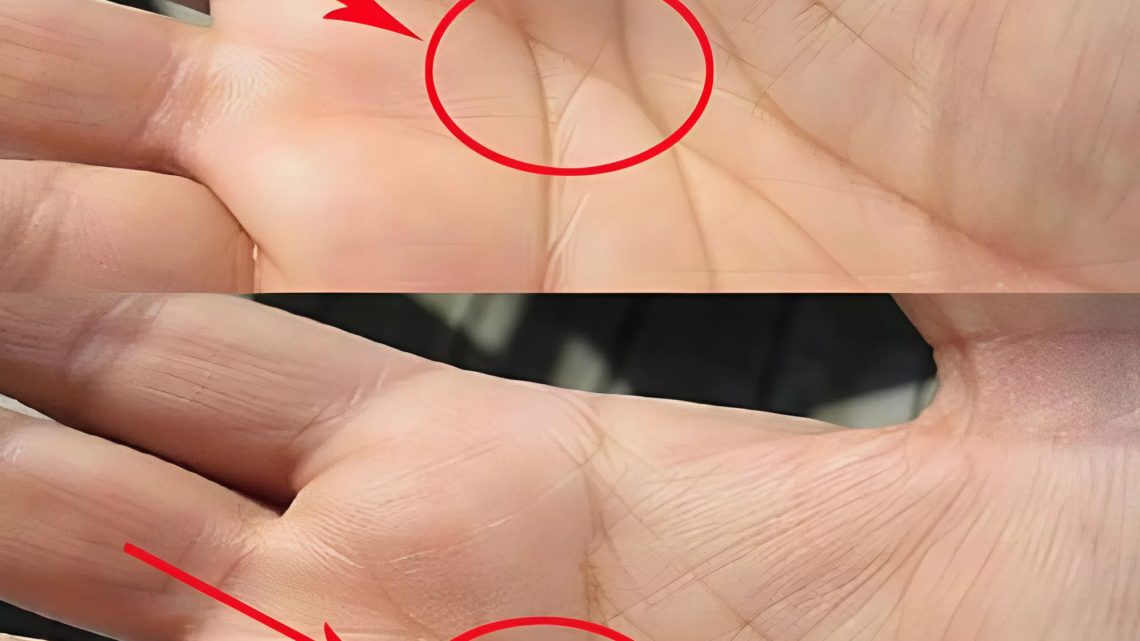 Význam čáry „M“ na dlani v lásce a manželství