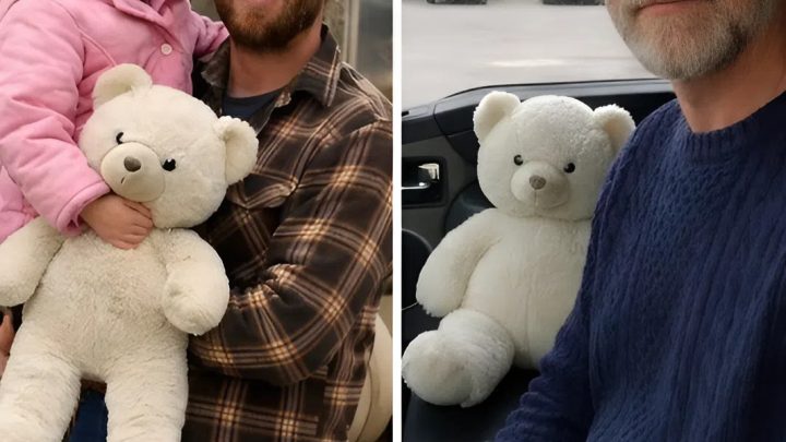 Plyšový medvídek z blešího trhu: co jsem našel uvnitř po odchodu dcery