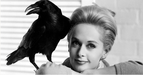 Tippi Hedrenová se ve svých 96 letech zřídka objevila na veřejnosti v den svých narozenin, zatímco demence tiše zastíní její hollywoodské dědictví