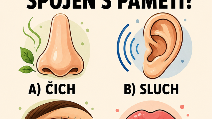 Který pocit je nejvíce spojený s pamětí?
